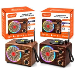 IŞIKLI FM RADYO - RETRO USB - TYPE-C SARJLI BT - TF - USB SPEAKER FX-2513B PL-4725