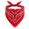Kırmızı Kovboy Fuları Çocuk Bandana Western Desenli Boyun Fuları