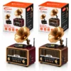 SOLAR - İBRELİ GRAMAFON RADYO - RETRO AM - FM - SW USB - TYPE-C SARJLI BT - TF - USB SPEAKER YG-7020BTS